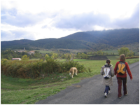 Casalys, chambres d'htes  Quillan : plateau de Sault